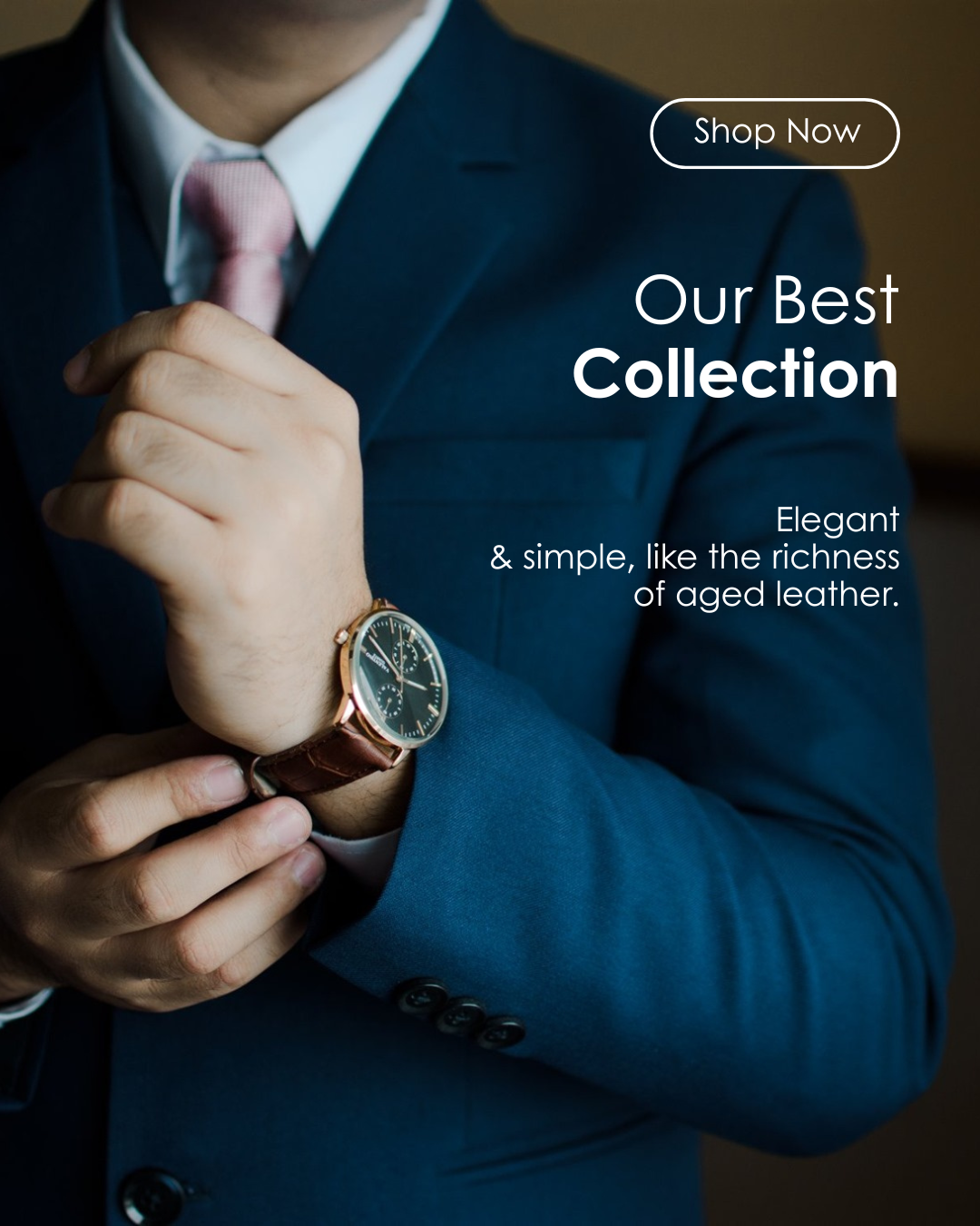 watch collection